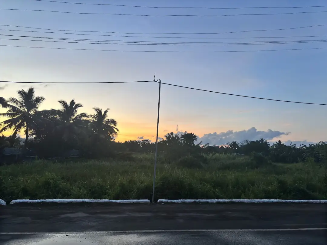 The road at dusk