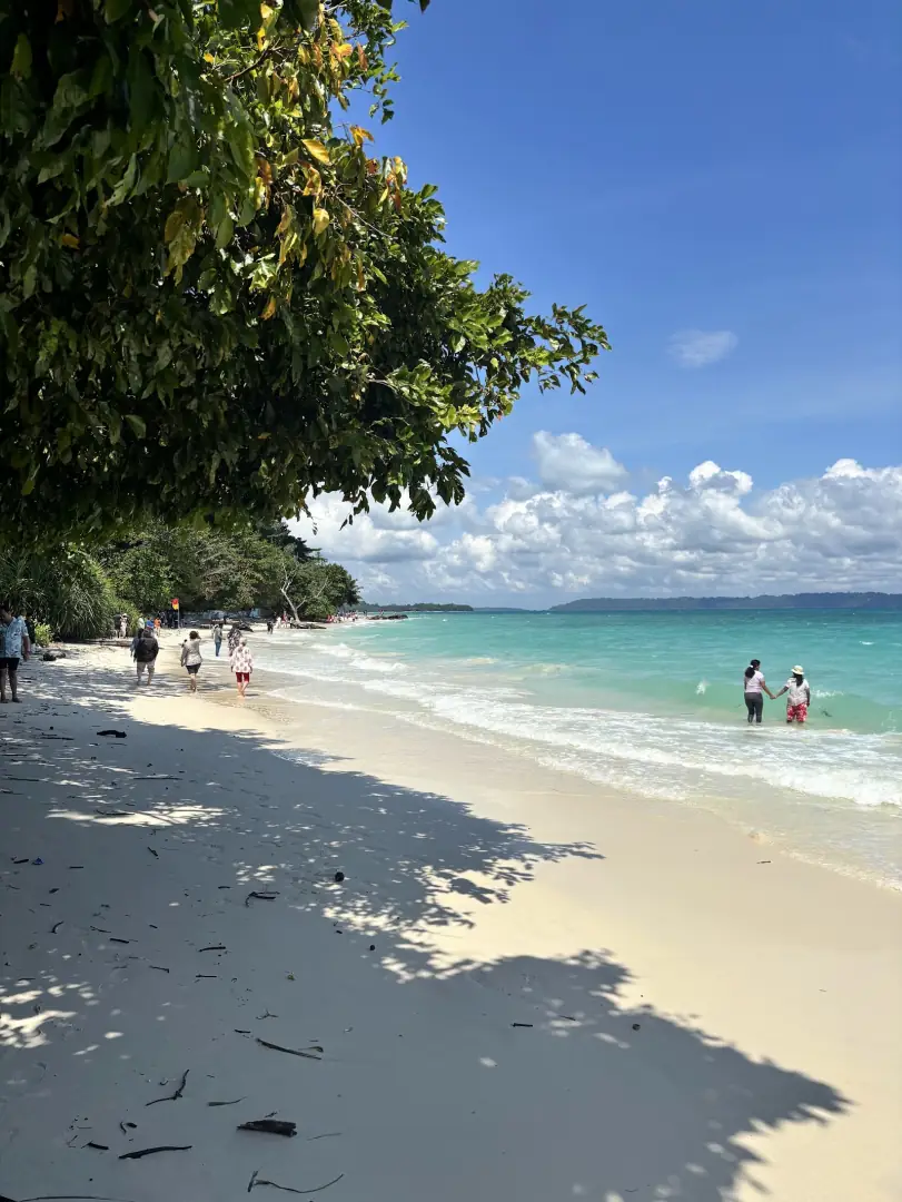 White sand
