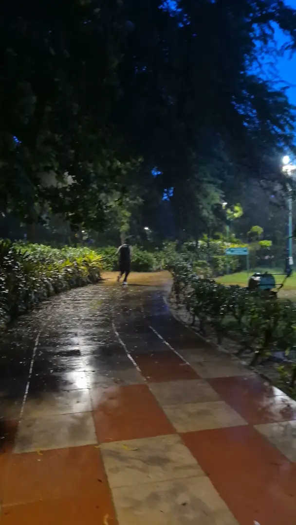 After the rain