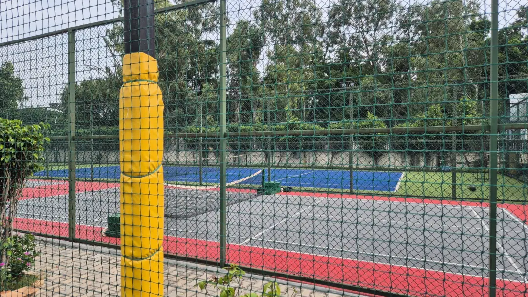 The courts next door