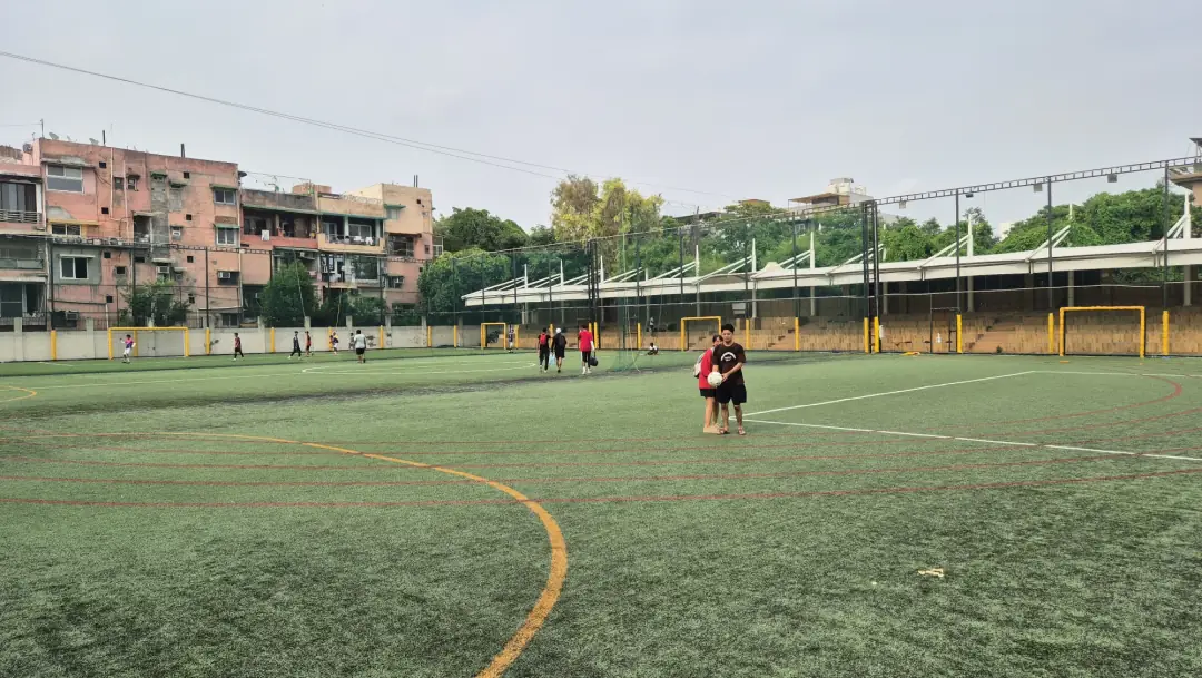 The turf