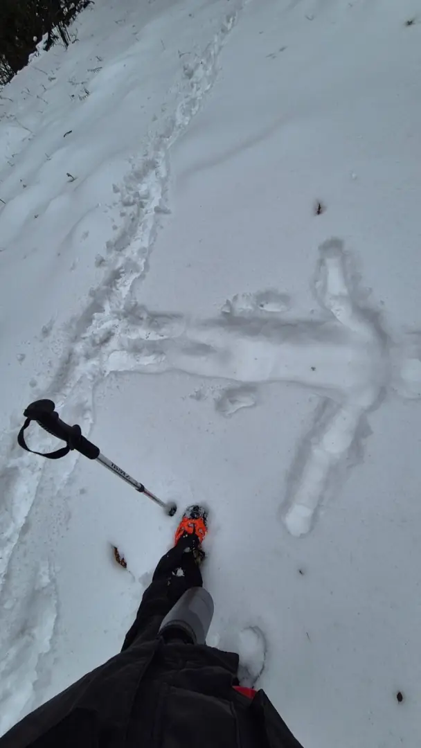 Snow angel