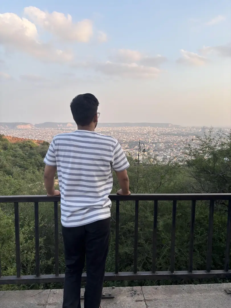 Jaipur from above