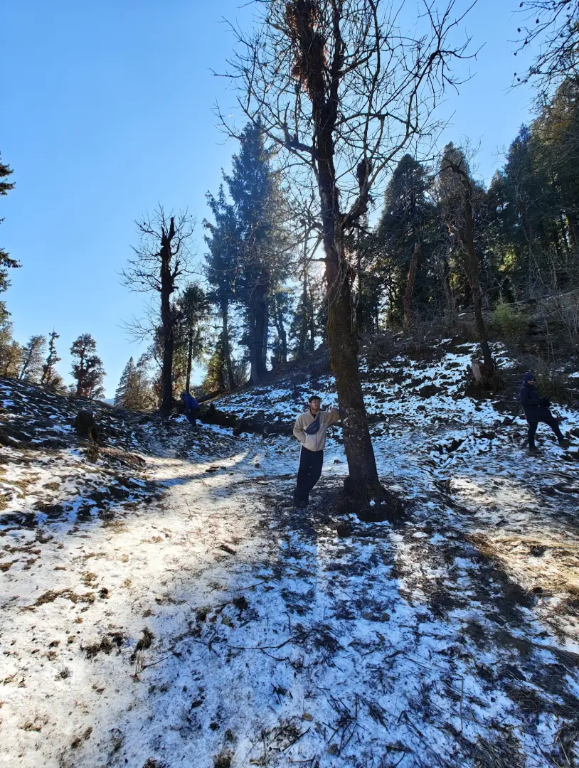 A clearing