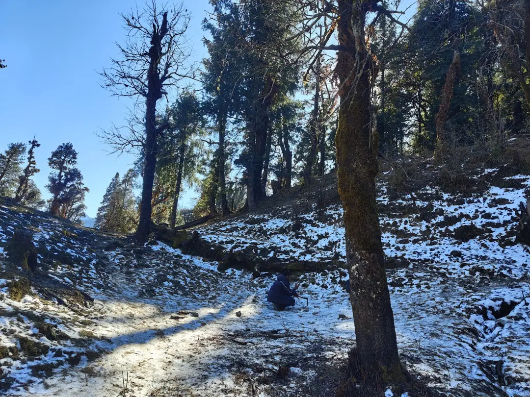 The trail