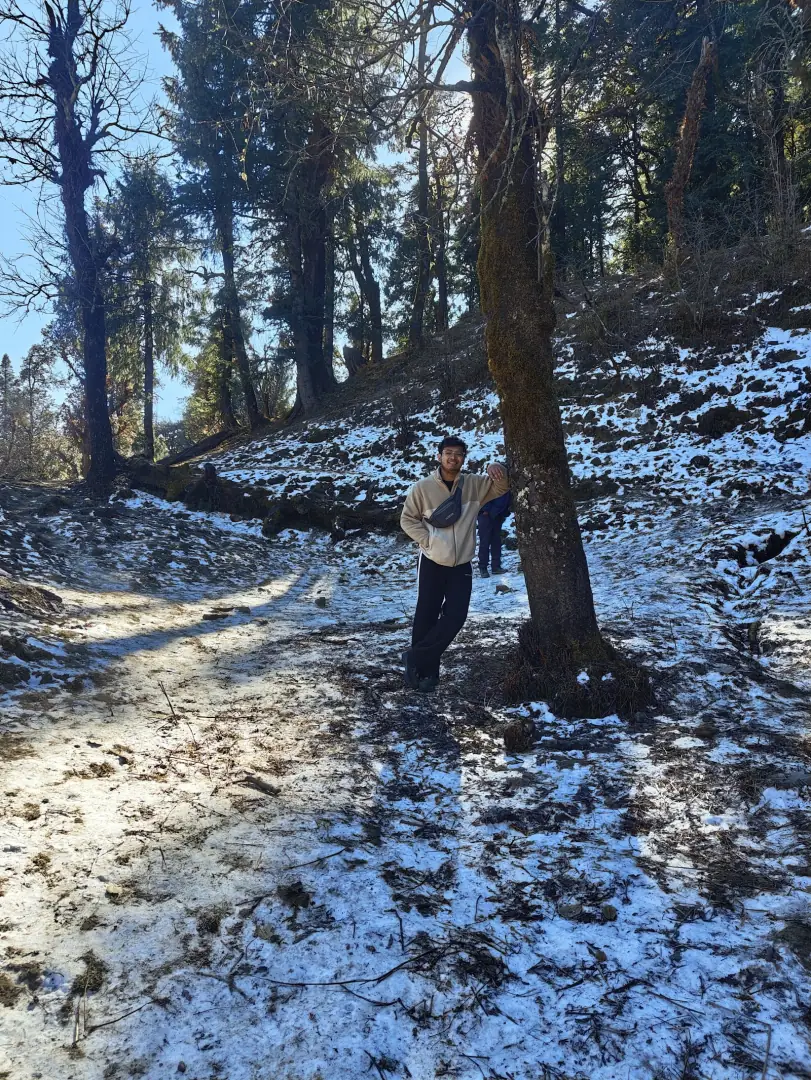 Through the pines
