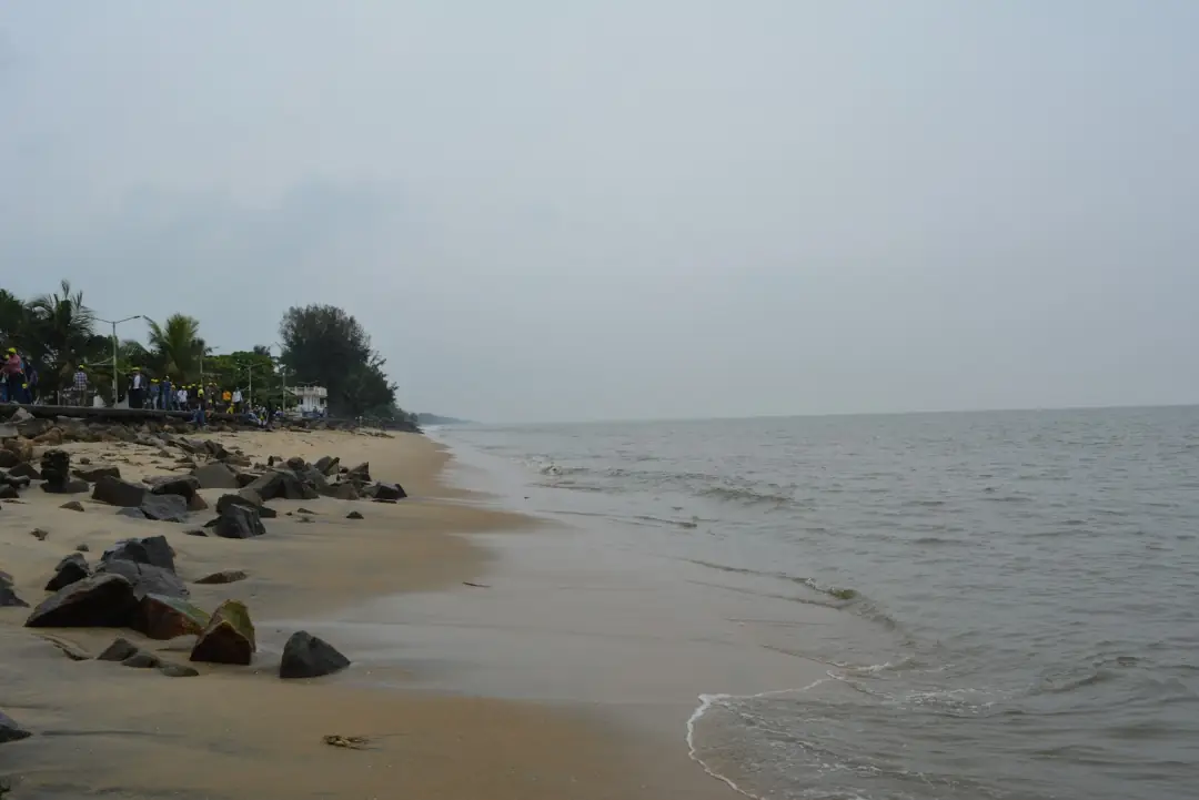 The shore