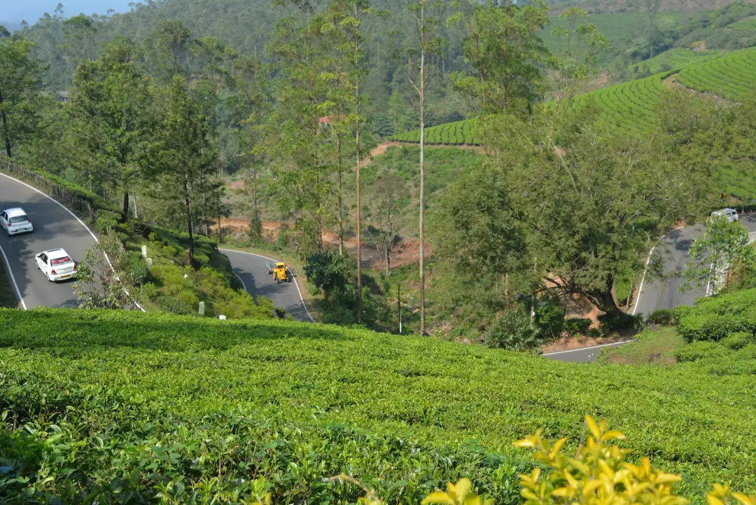 A village sitting in the middle of it