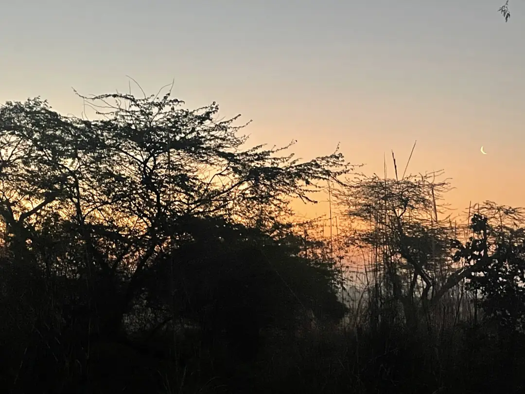 Leaving before it got light