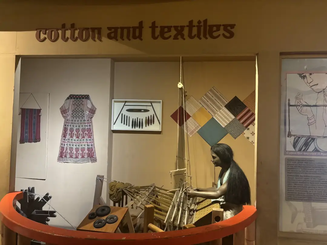 Cotton and textiles